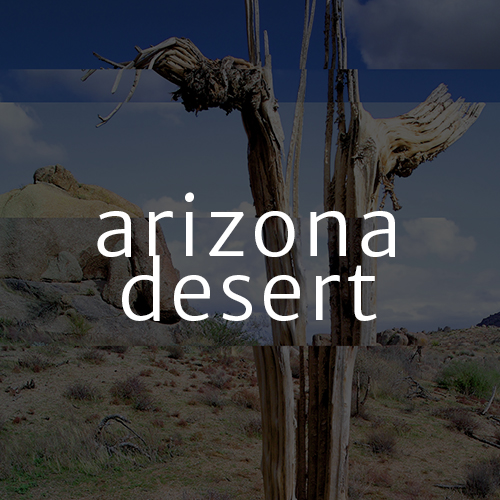 Arizona Desert Landscape Photography