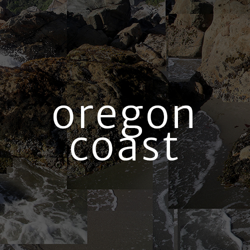 Oregon Coast Photography