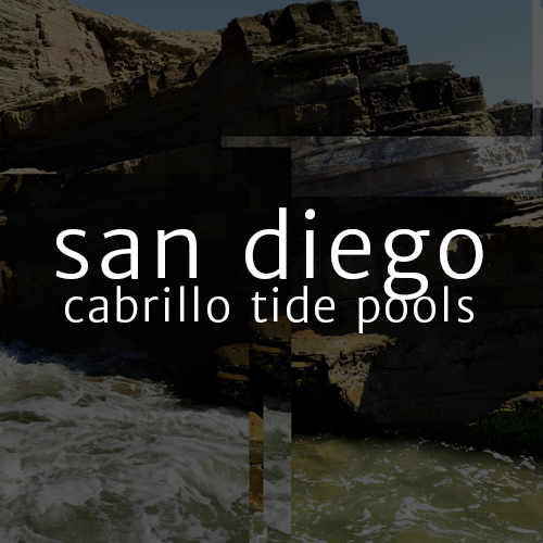 San Diego Cabrillo Tide Pools Photography