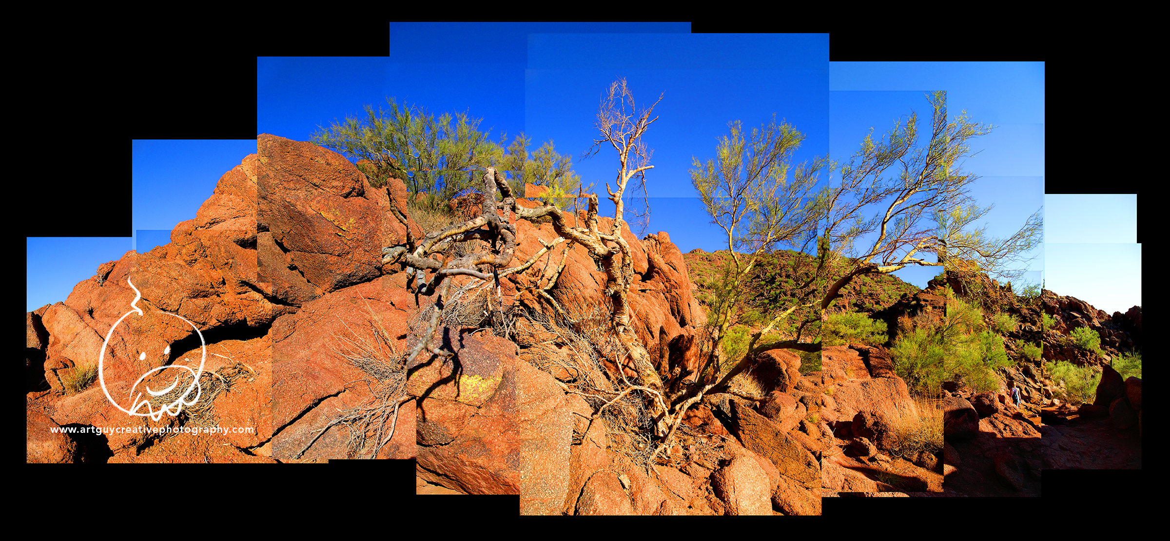 Camelback Mountain Arizona Desert Photography Tree Rocks