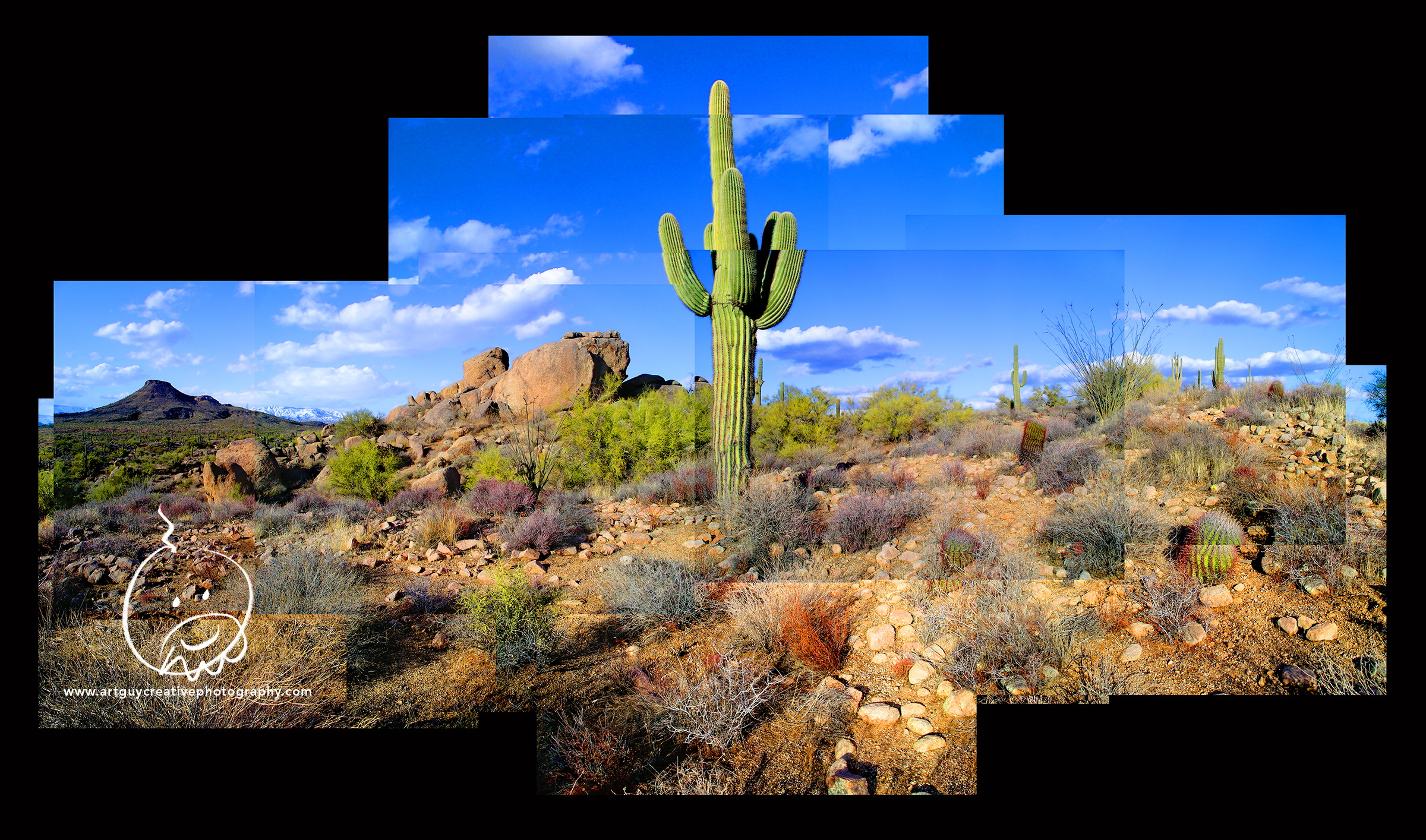 Arizona Desert Photography Desert Saguaro