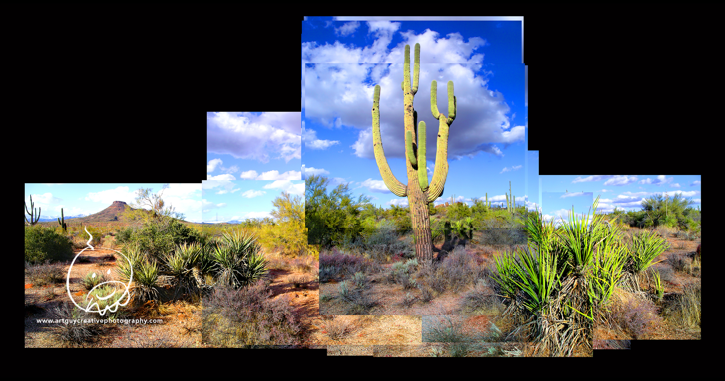 Arizona Desert Photography Desert Saguaro