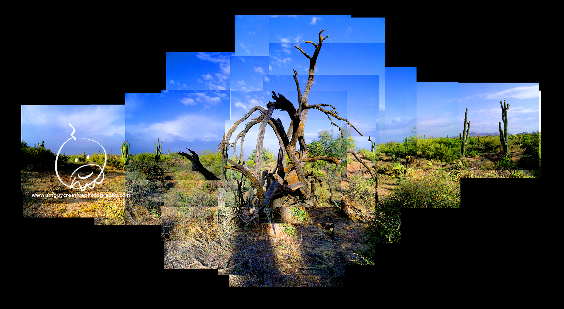 Arizona Desert Photography Desert Skeleton Cactus
